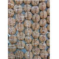 شیرینی ارده وزن هر عدد حدودا بین 6 تا 10 گرم سبک و خوشمزه فروش بصورت کیلویی و مقدارش از یک کیلو شروع میشه