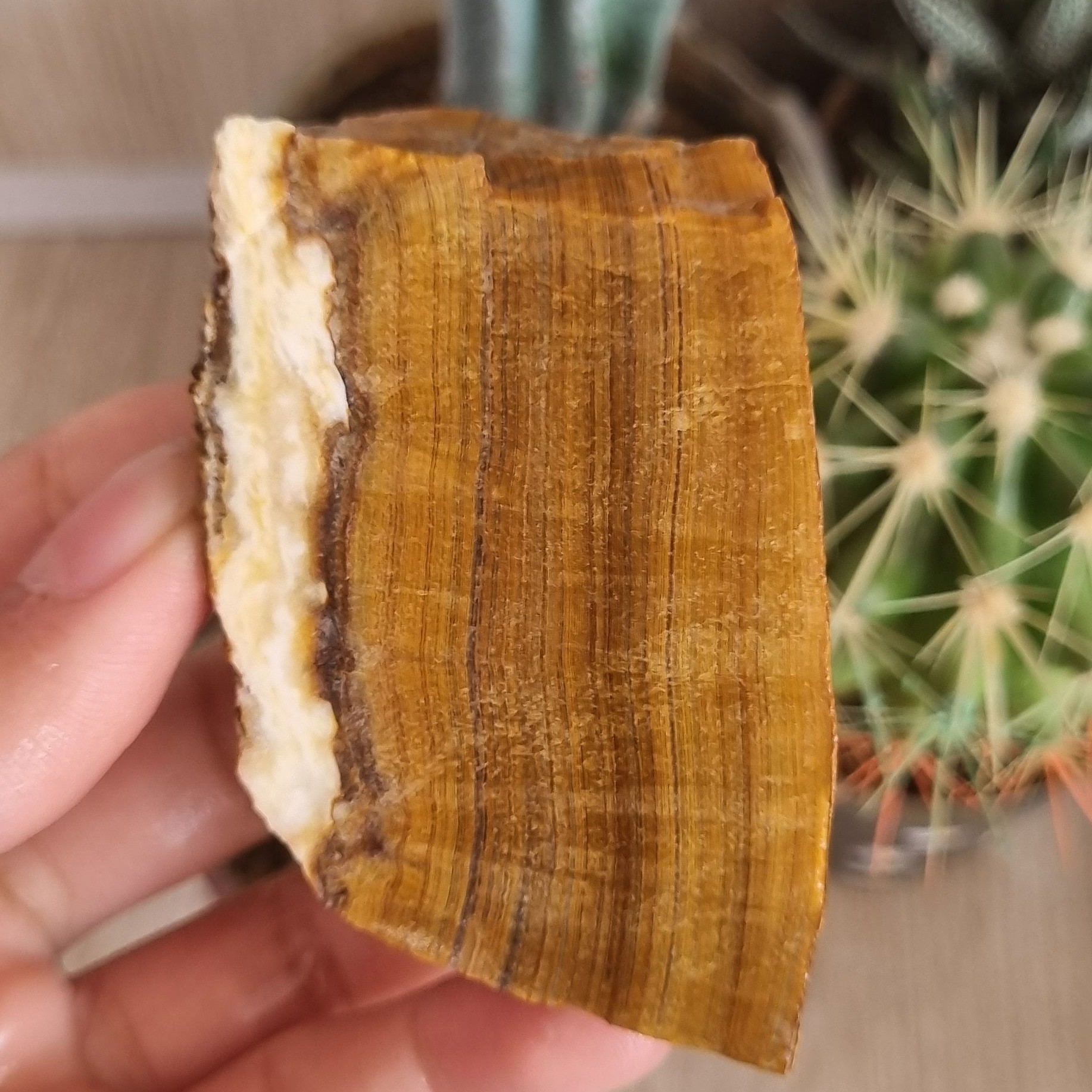 اراگونیت چشم ببری کد111