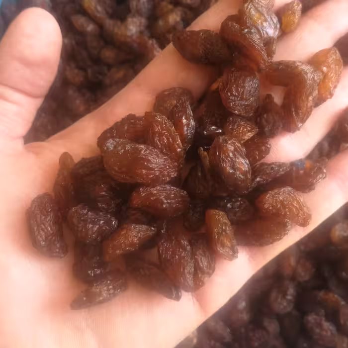 کشمش مویز تیزابی  اقتصادی 