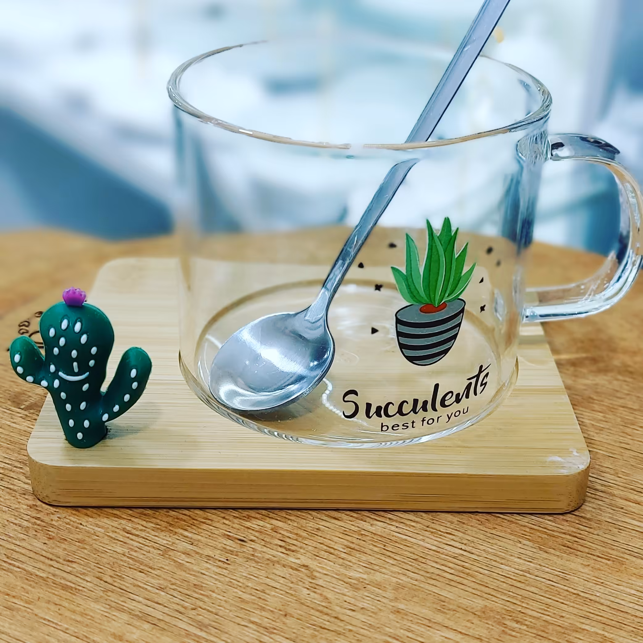 ماگ پیرکس خارجی کاکتوس