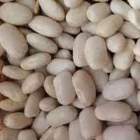 لوبیا سفید محلی ارگانیک تازه تازه 