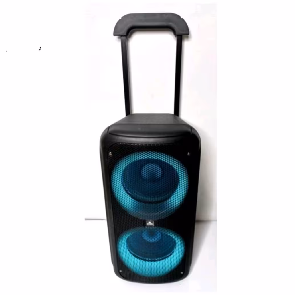 اسپیکر بلوتوثی چمدانی EVER 1009