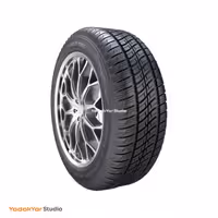 لاستیک 205.55.16 یزد تایر گل نپتون (جفت)