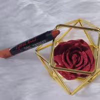 رژ لب 307 مدادی پلادیس ضد آب و بدون سرب