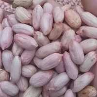 بادام زمینی خام درجه یک 1403  ارسال رایگان آستانه 