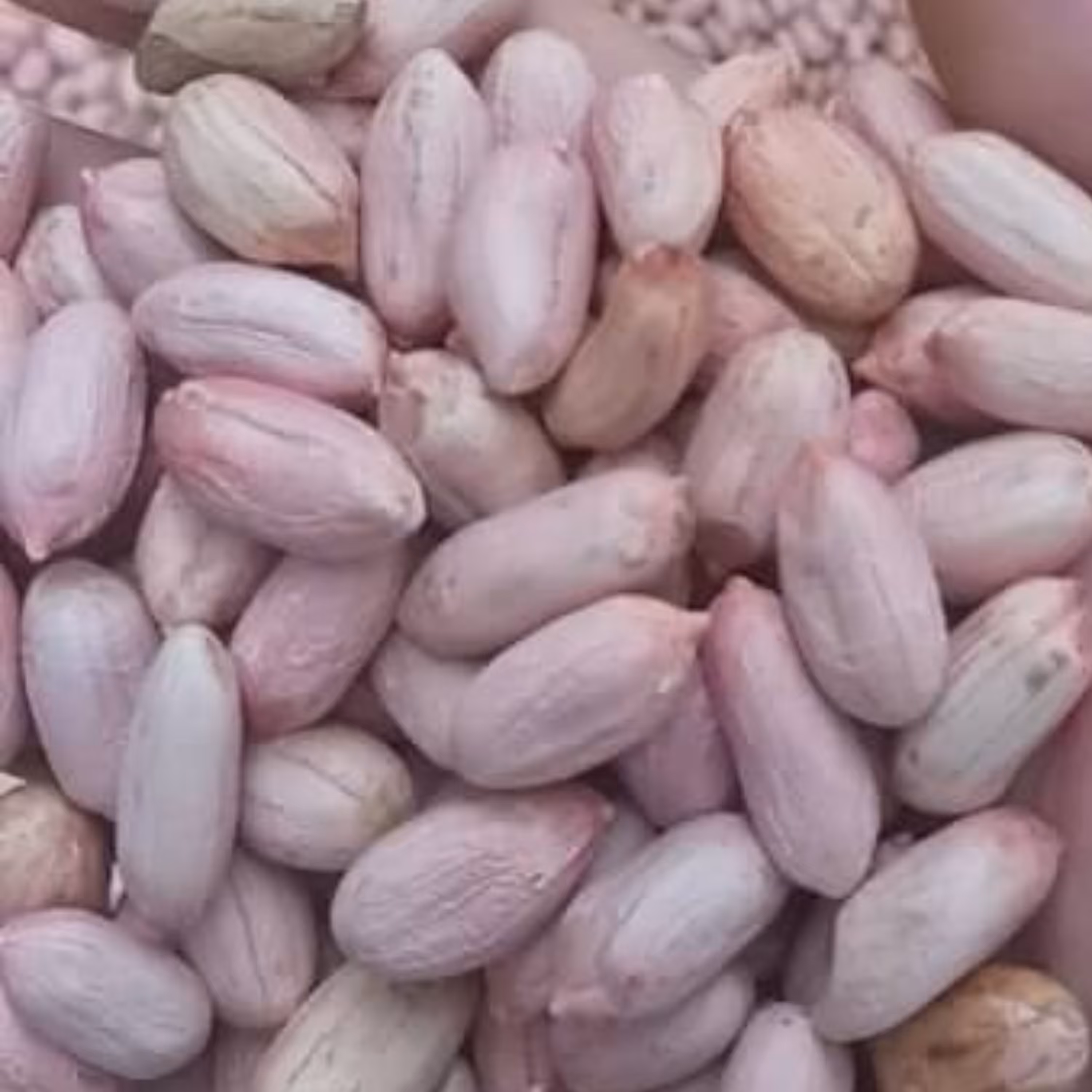 بادام زمینی خام درجه یک 1403  ارسال رایگان آستانه 