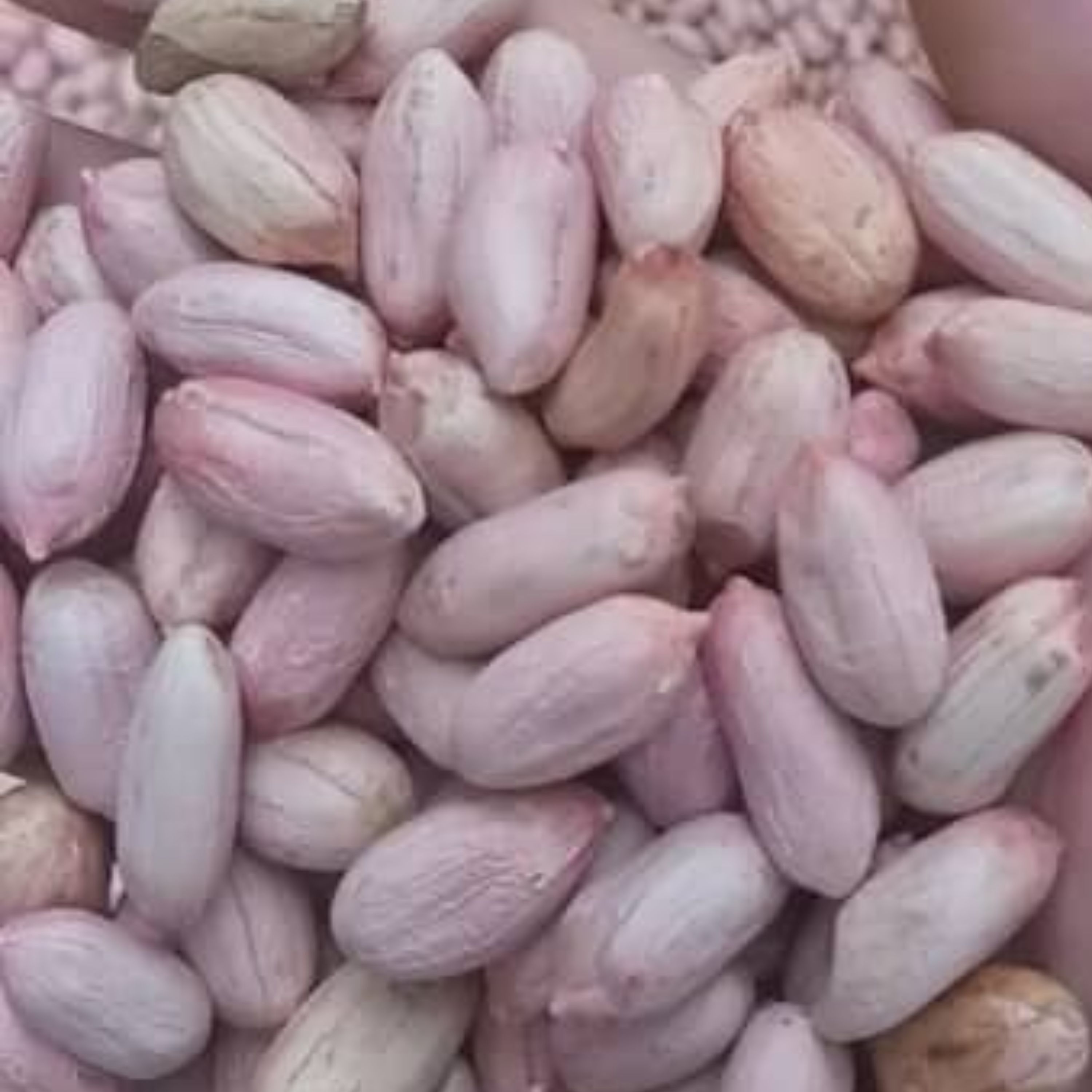 بادام زمینی خام درجه یک 1403  ارسال رایگان آستانه 