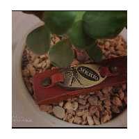 دستبند چرم کد 011