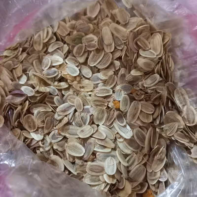 بذر آنغوزه بسته 10 کیلو گرمی 