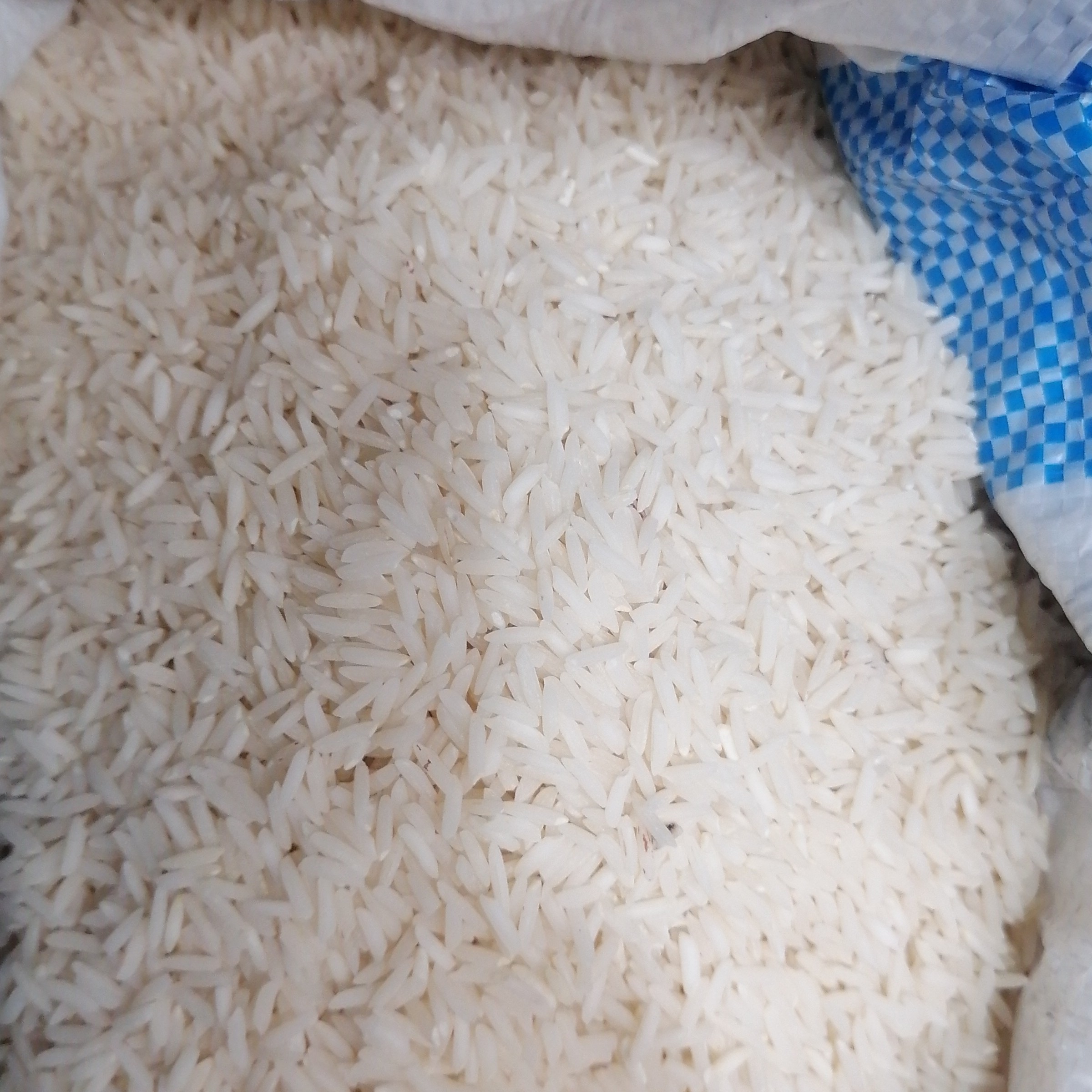 برنج صدری