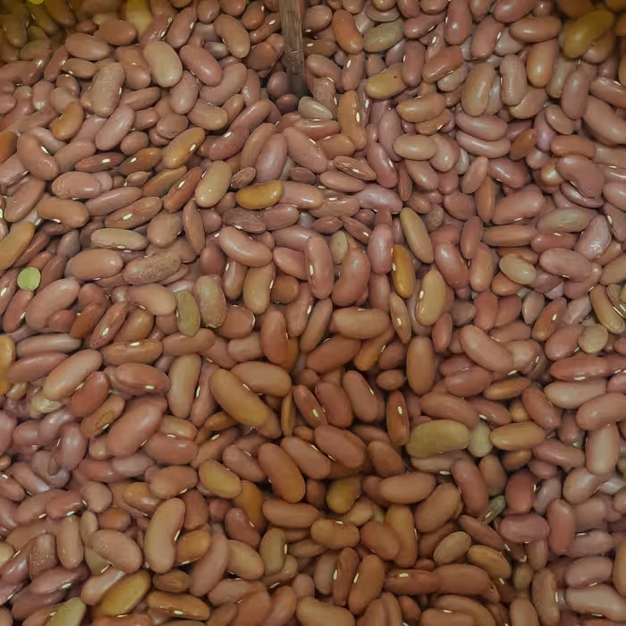 لوبیا قلمی یا کپسولی نیم کیلویی