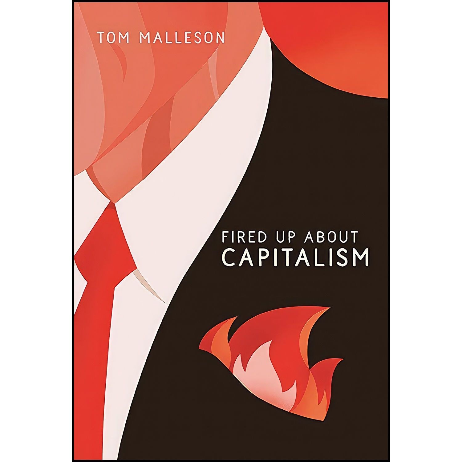 کتاب زبان اصلی Fired Up About Capitalism اثر Tom Malleson