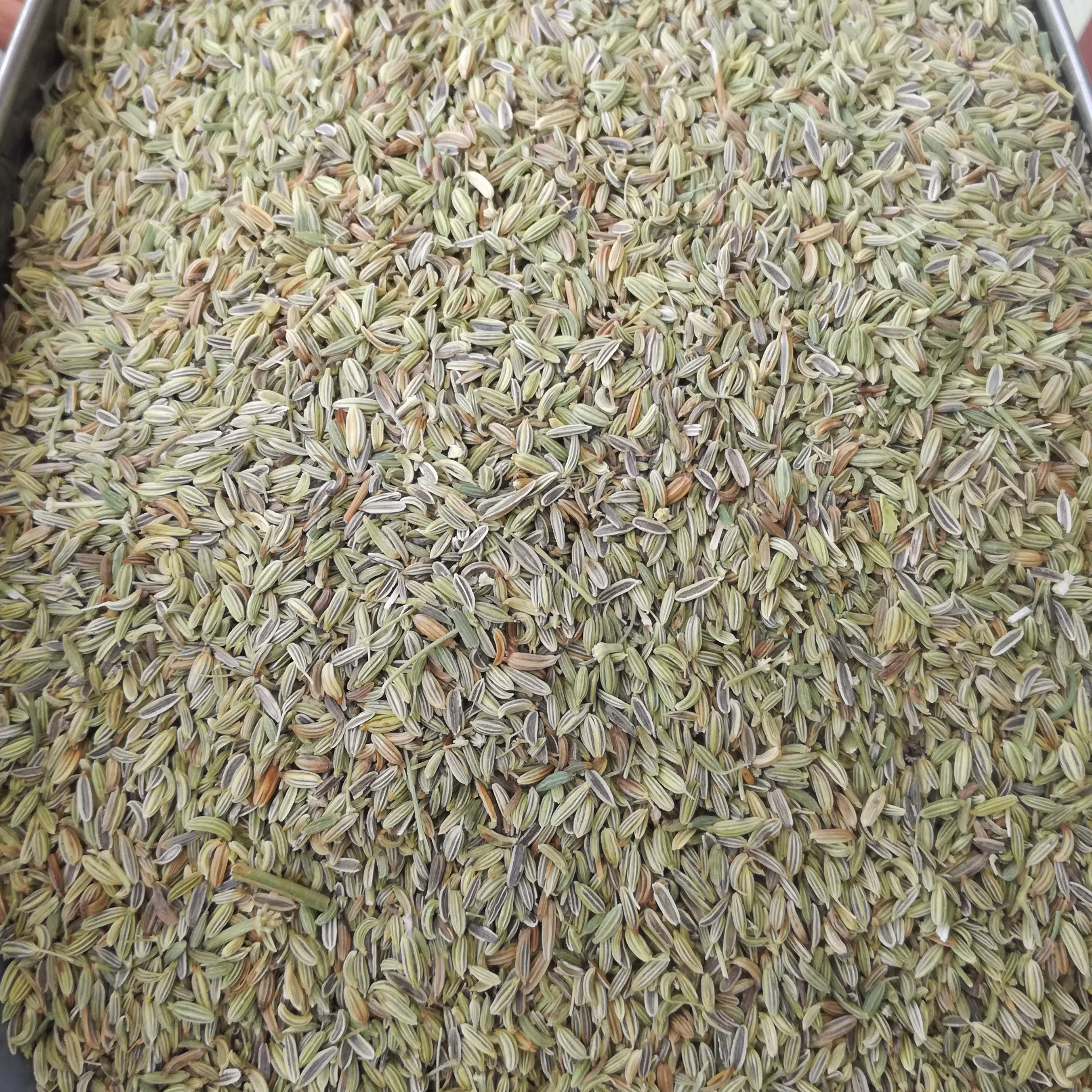 بهترین قیمت رازیانه ( بادیان ) پنج کیلو با بهترین کیفیت