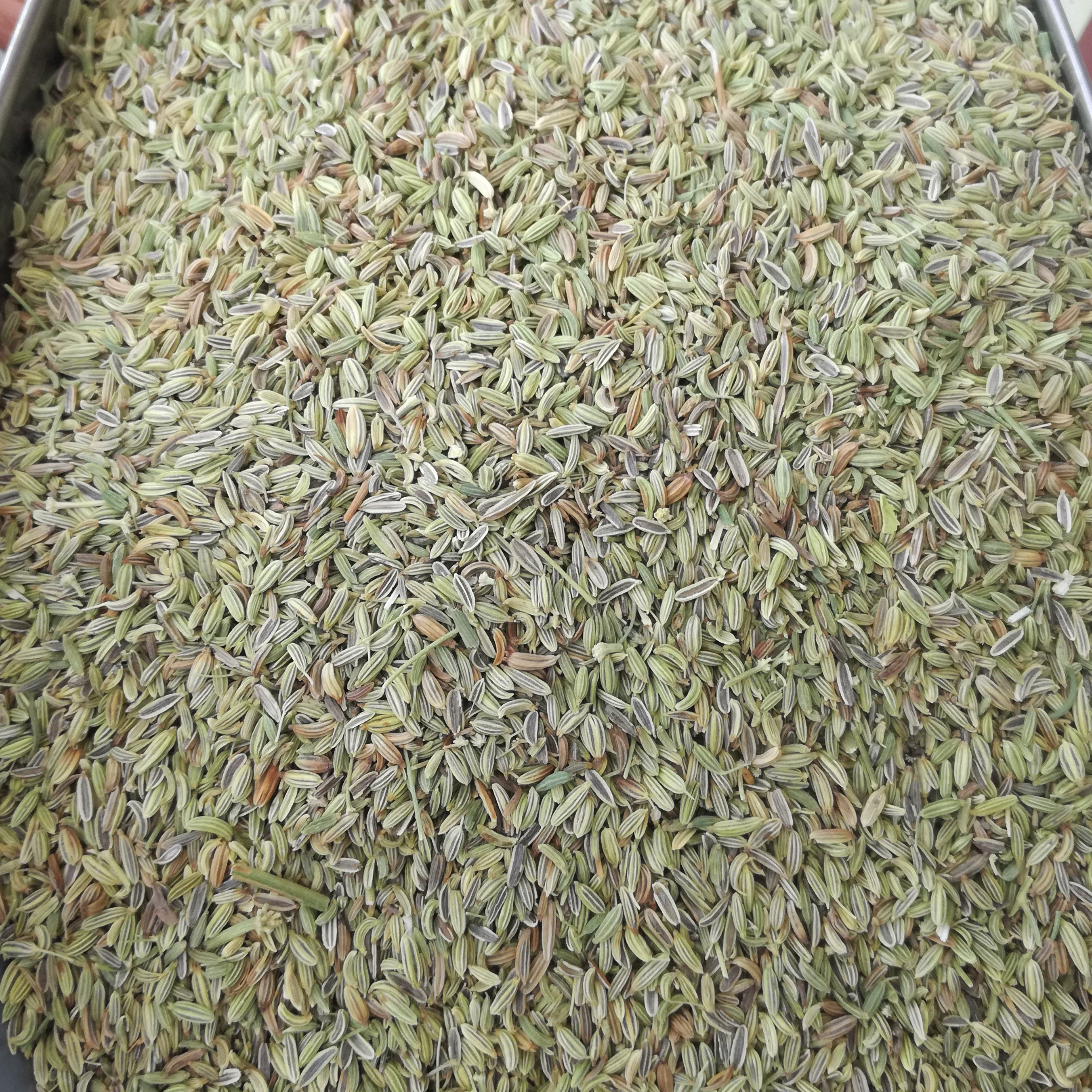 بهترین قیمت رازیانه ( بادیان ) پنج کیلو با بهترین کیفیت