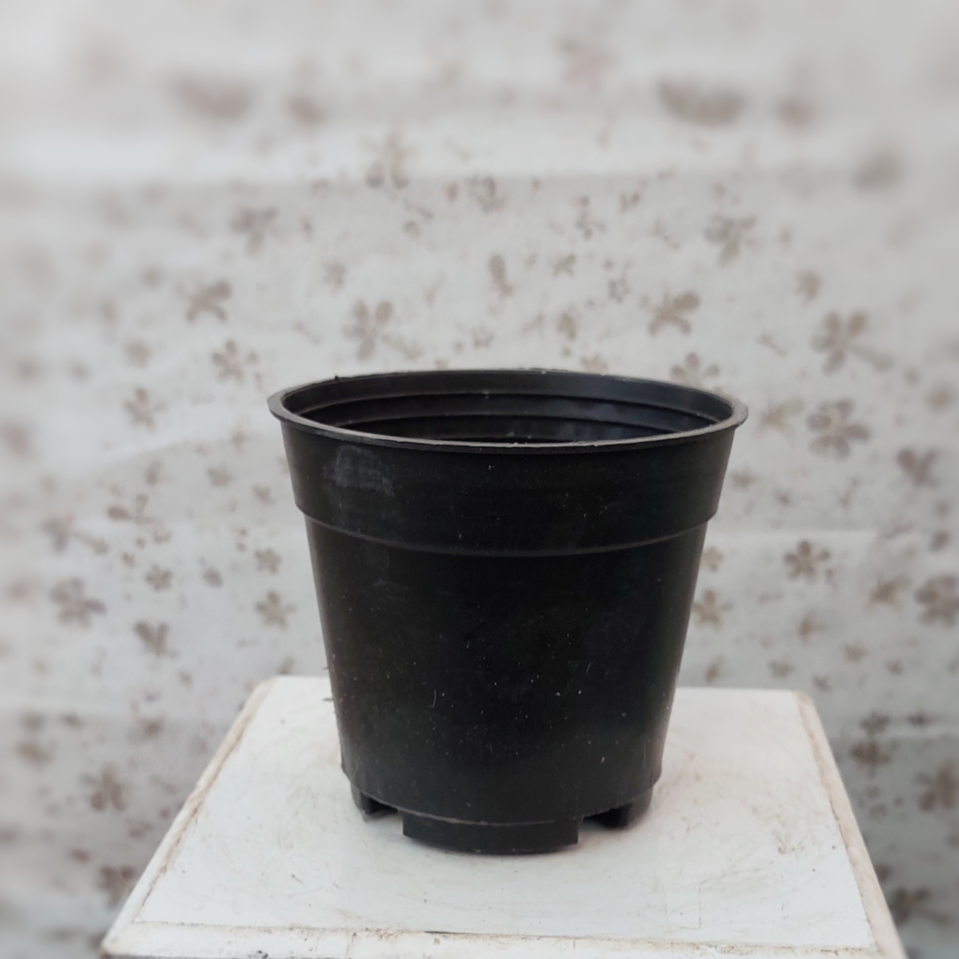 گلدان پلاستیکی با قطر 10 سانتی متر ( پک 5 عددی ) 