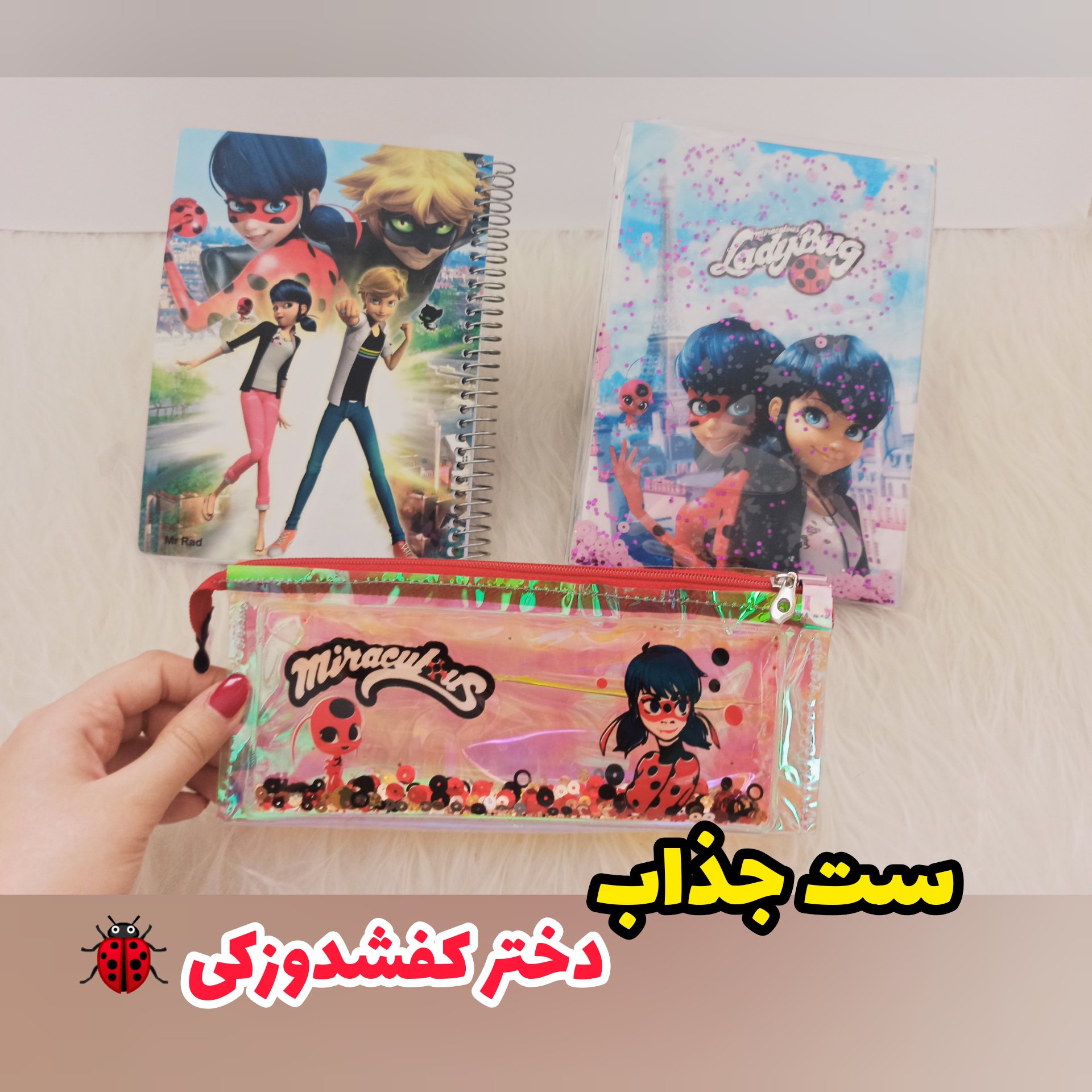 ست لوازم تحریر دختر کفشدوزکی شامل: جامدادی آکواریومی، دفتر آکواریومی خط دار 100برگ، دفتر نقاشی سیمی 50برگ