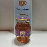 عسل ارگانیک گون گز  250 گرمی مدا 