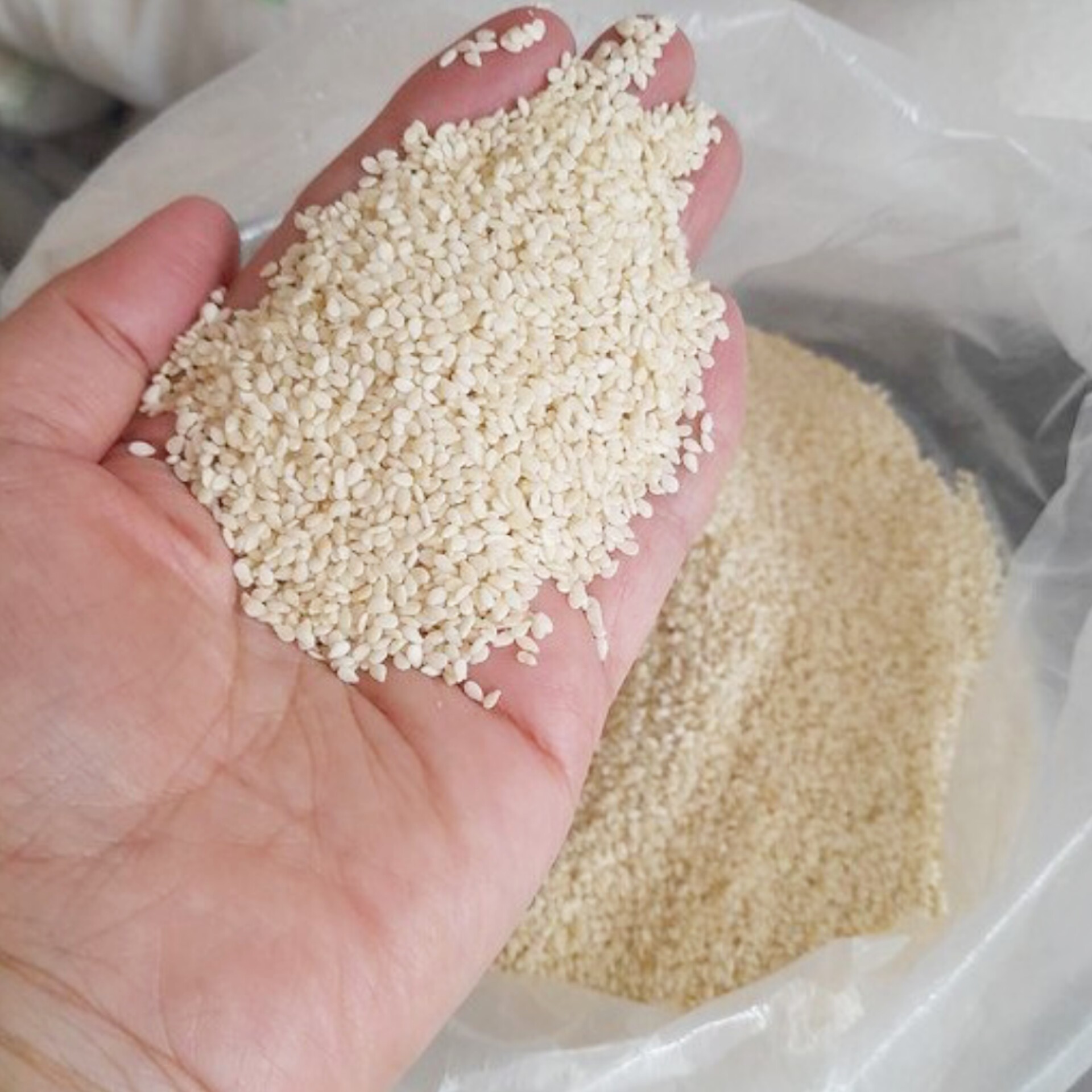 کنجد سفید هندی
سورت شده و بدون هرگونه دانه سیاه
مجلسی و درجه یک
مناسب برای تزئین انواع دسر و شیرینی و مربا 