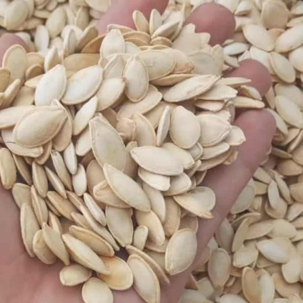 تخمه کدو شور  -لوکس و درجه یک-  بصورت پودری شور شده