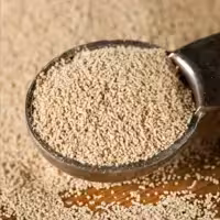 خمیر مایه فوری (125گرم) کارون