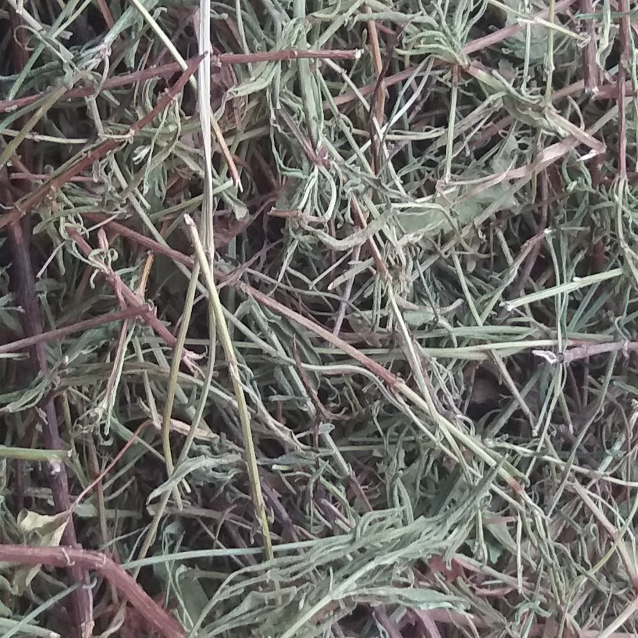  زوفا با عطر و کیفیت عالی