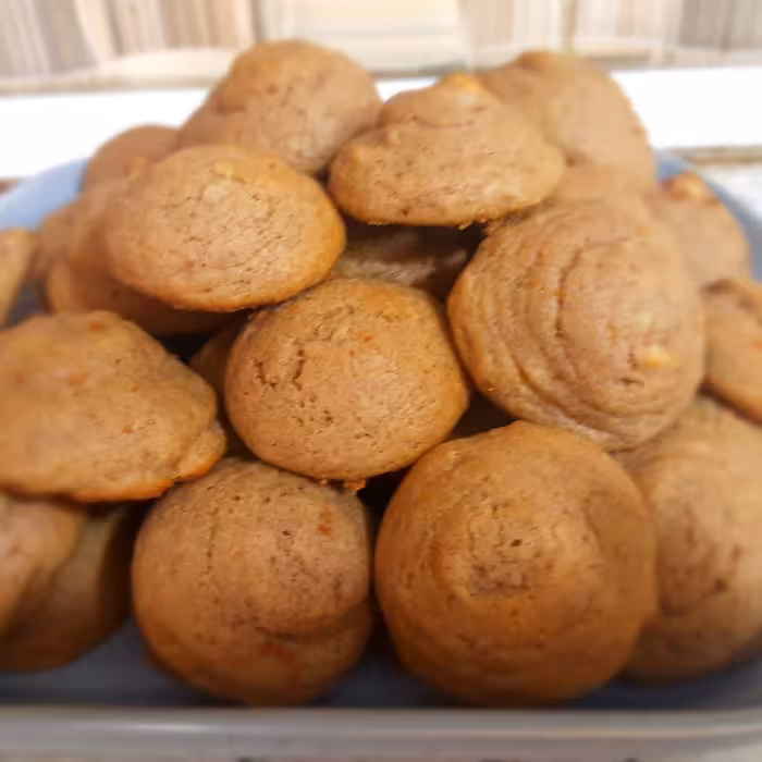 کلوچه گردویی رژیمی صالح و سارا