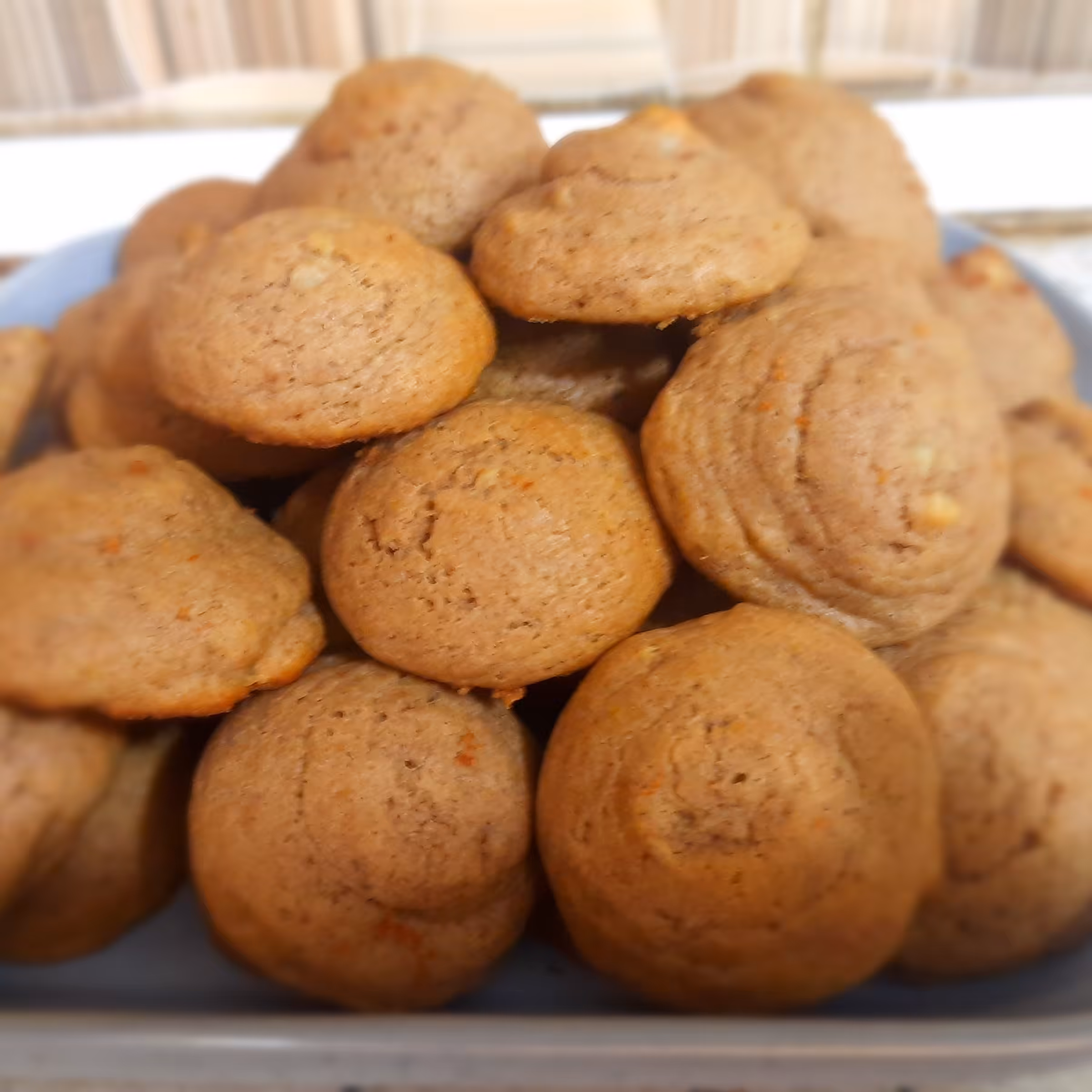 کلوچه گردویی رژیمی صالح و سارا