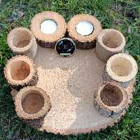 هفت سین چوبی تنه درختی