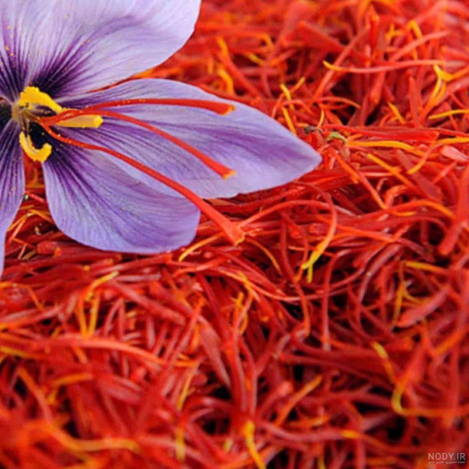 زعفران سرگل یک مثقالی اصل  قائنات 