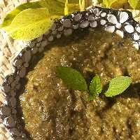 ترشی ناز خاتون با  بادمجان کبابی