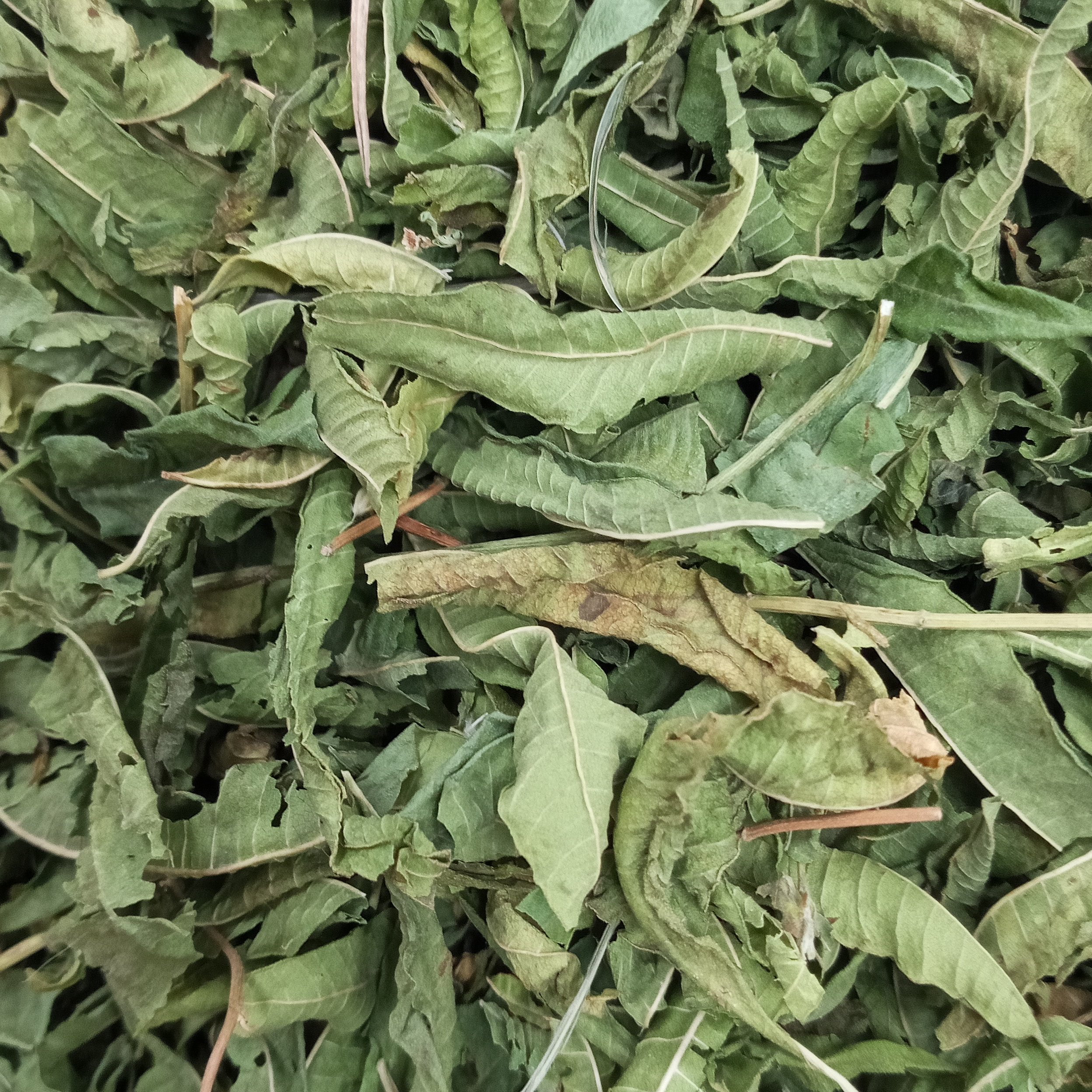 به لیمو درجه یک (250 گرمی)