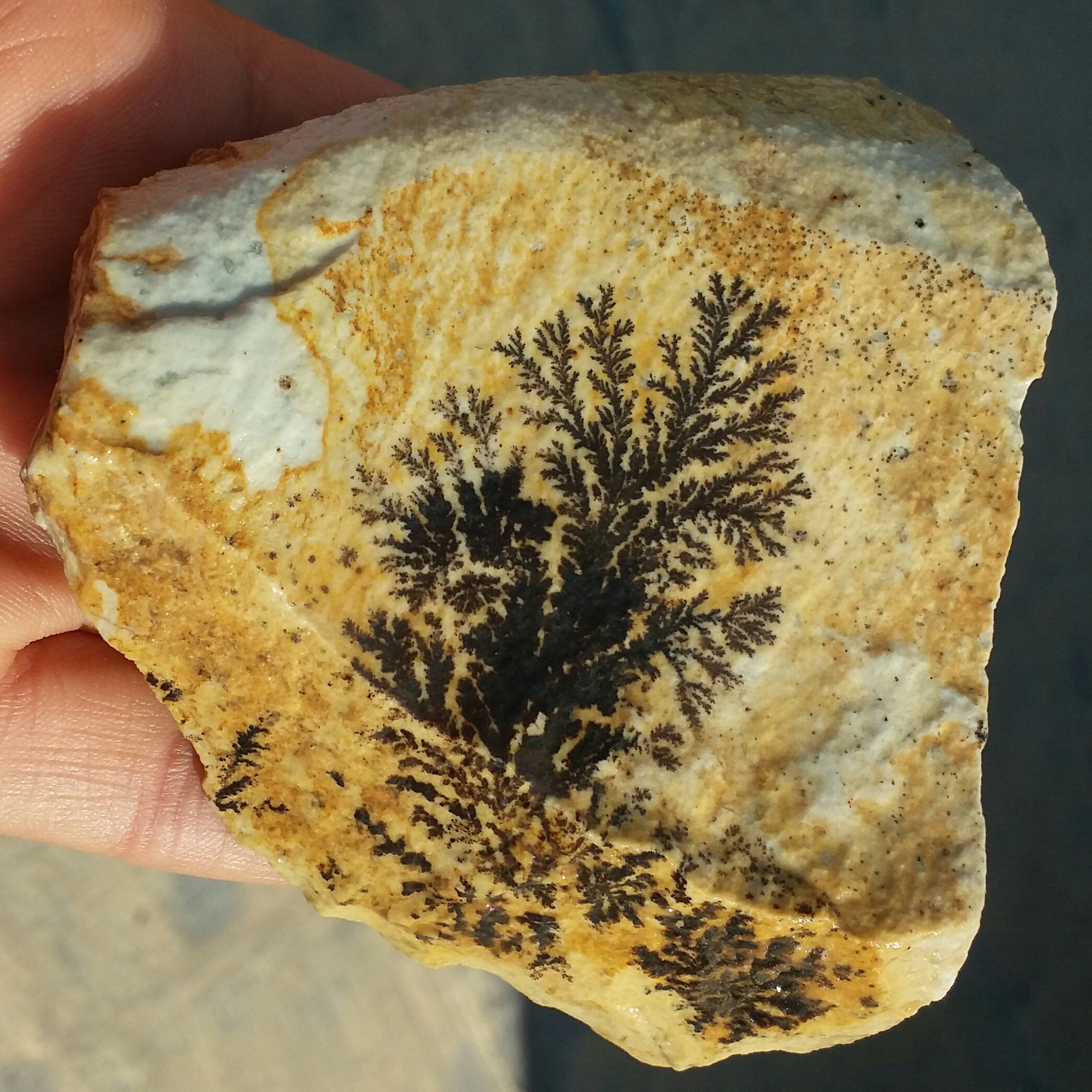 سنگ راف درشت 100 در 100 طبیعی شجر دندریتی یا فسیلی محشر خاص شاهکار خلقت
شجر واضح خاص بی نظیر
کد 9455