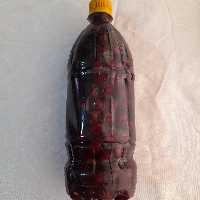 آلبالو ترشی