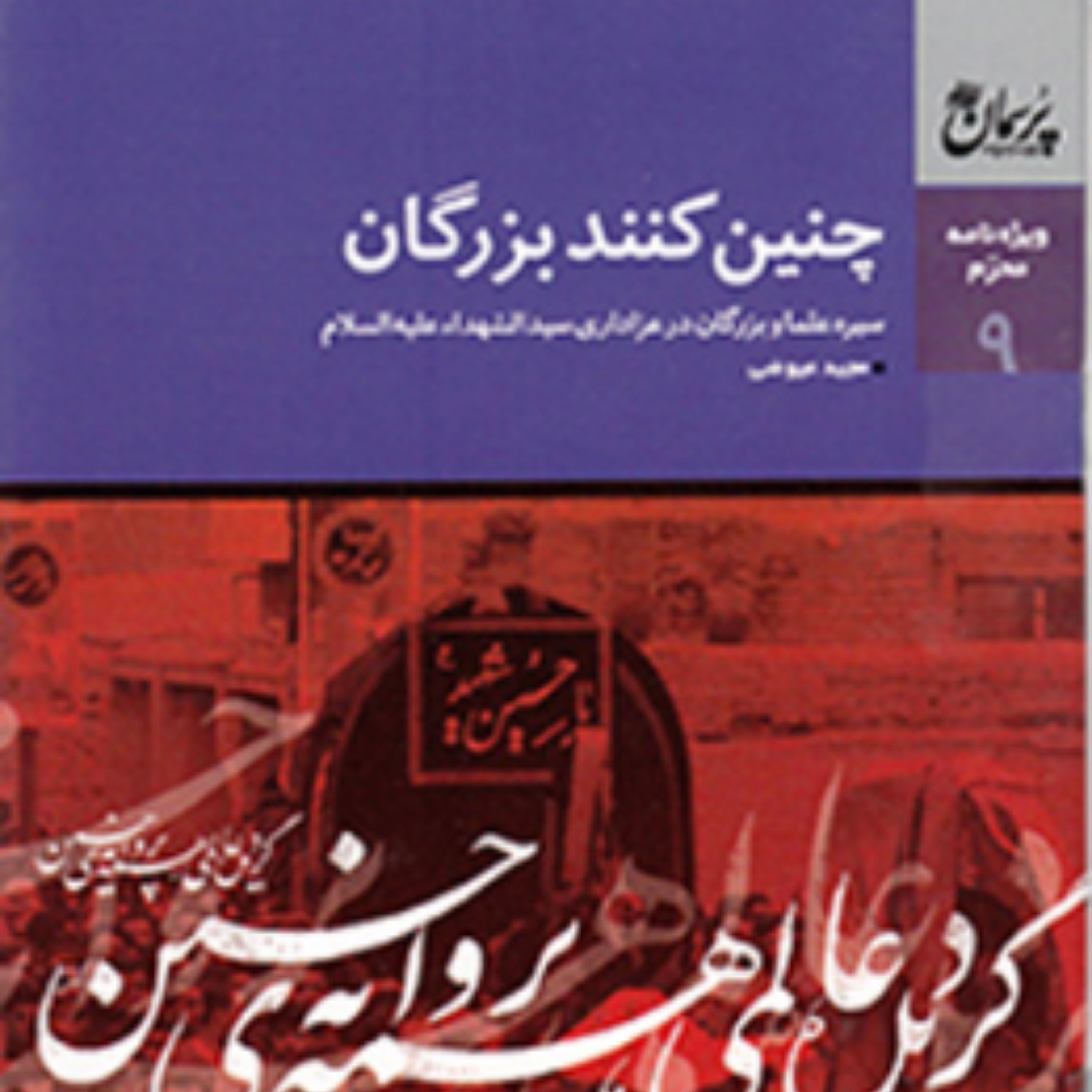 کتاب چنین کنند بزرگان