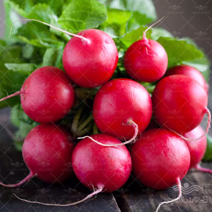 بذر سبزی تربچه نقلی 10 گرمی