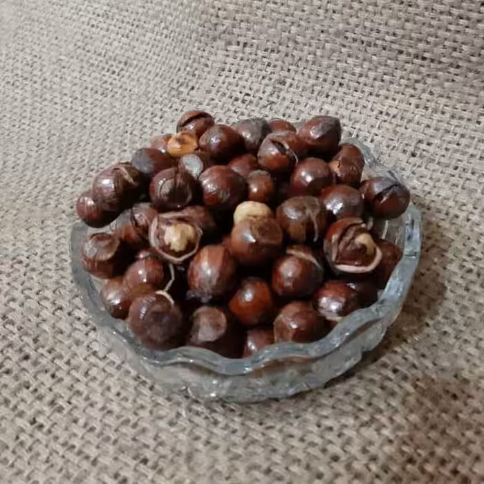 فندق ترکدار شور نیم کیلویی تبسم