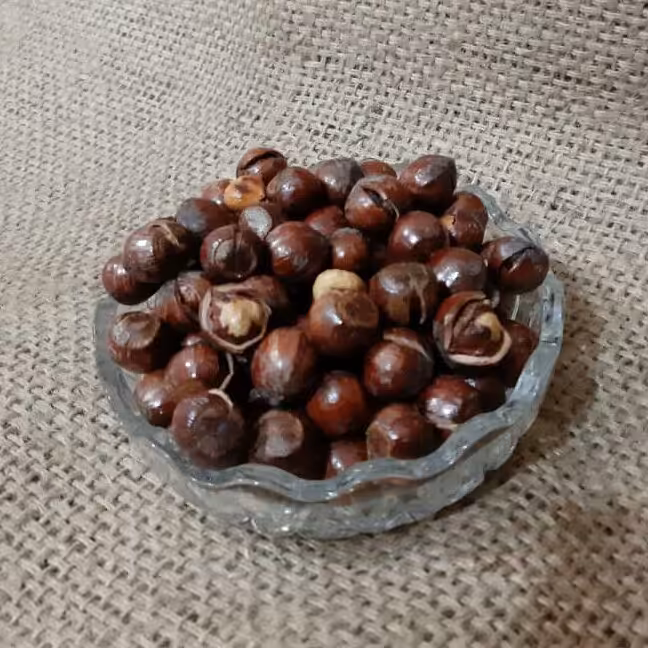 فندق ترکدار شور نیم کیلویی تبسم