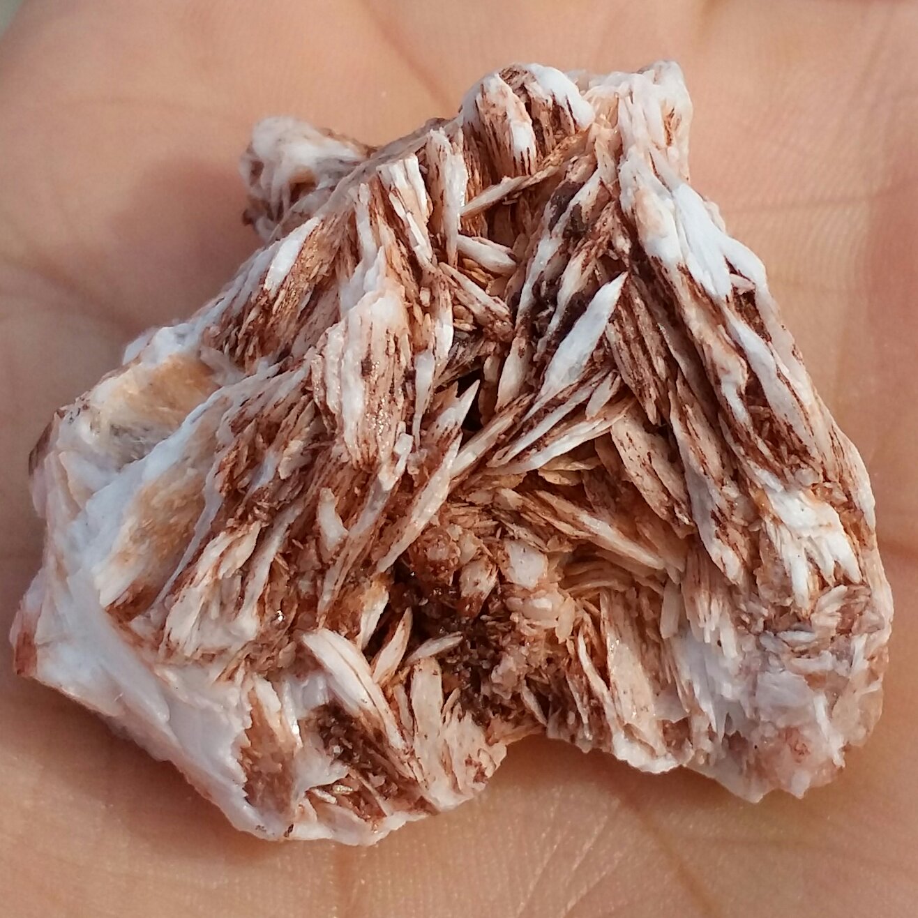 نمونه فوق کلکسیونی سنگ راف باریت محشر بسیاااار زیبا 100 در 100 طبیعی خارق العاده و تک
کد 8321
