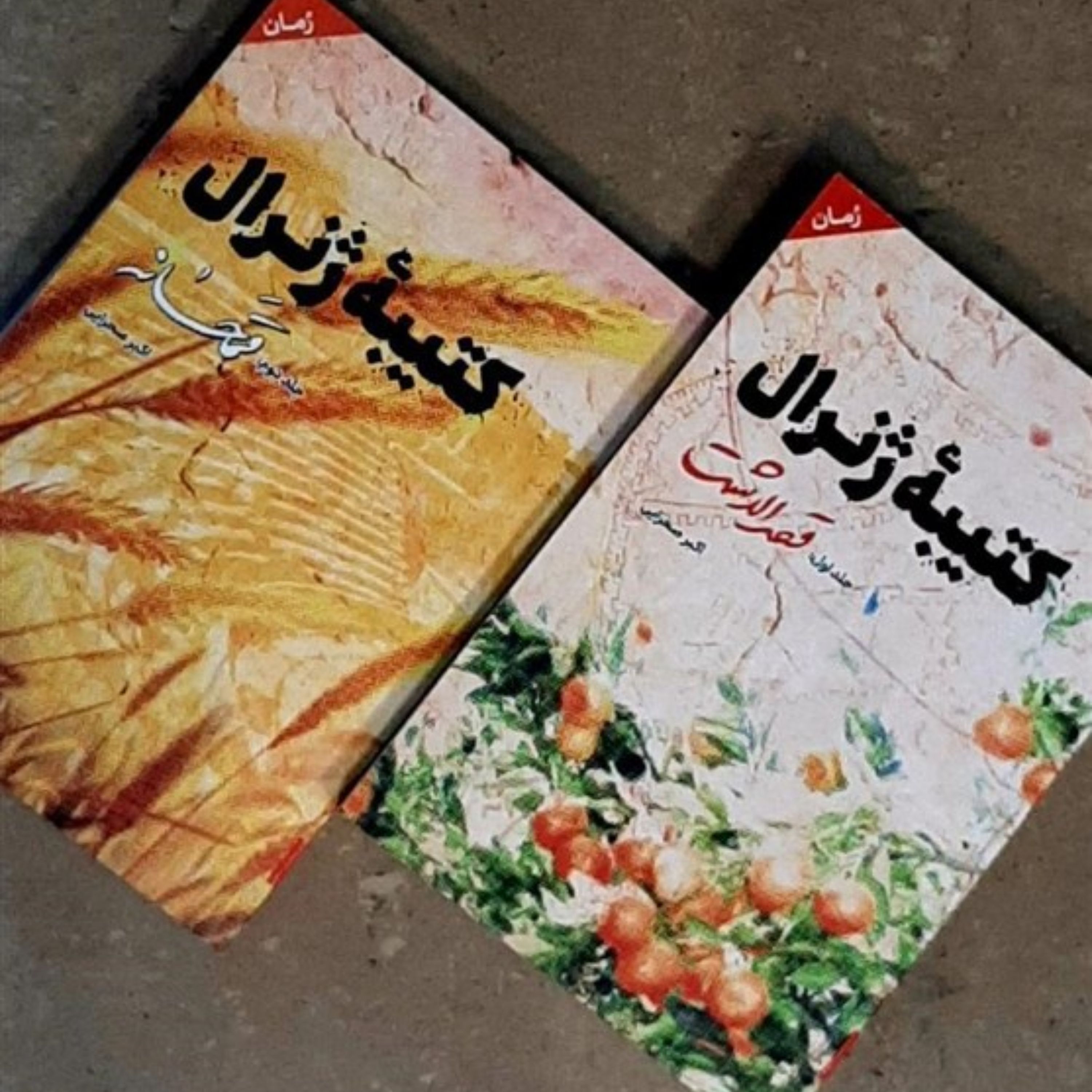 رمان کتیبه ژنرال (دو جلد)