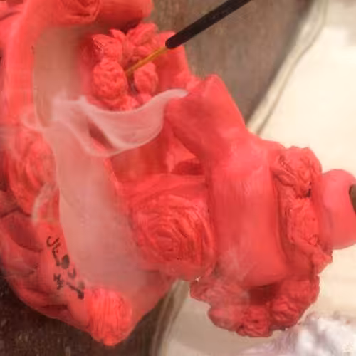 جاعود آبشاری