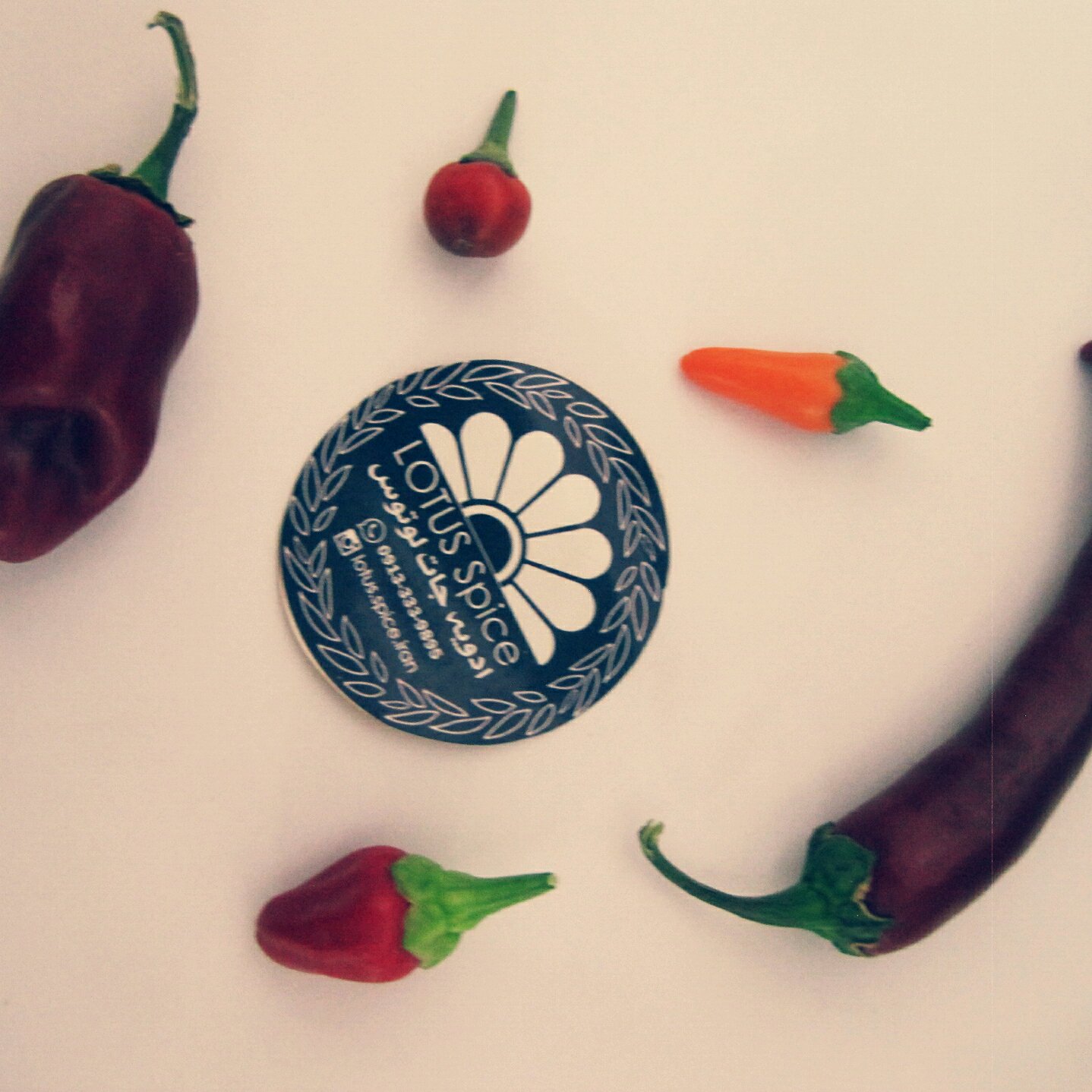 فلفل قرمز مخصوص لوتوس | red chili powder