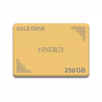 حافظه SSD اینترنال ایکس-انرژی  مدل GOLD ظرفیت 256 گیگابایت