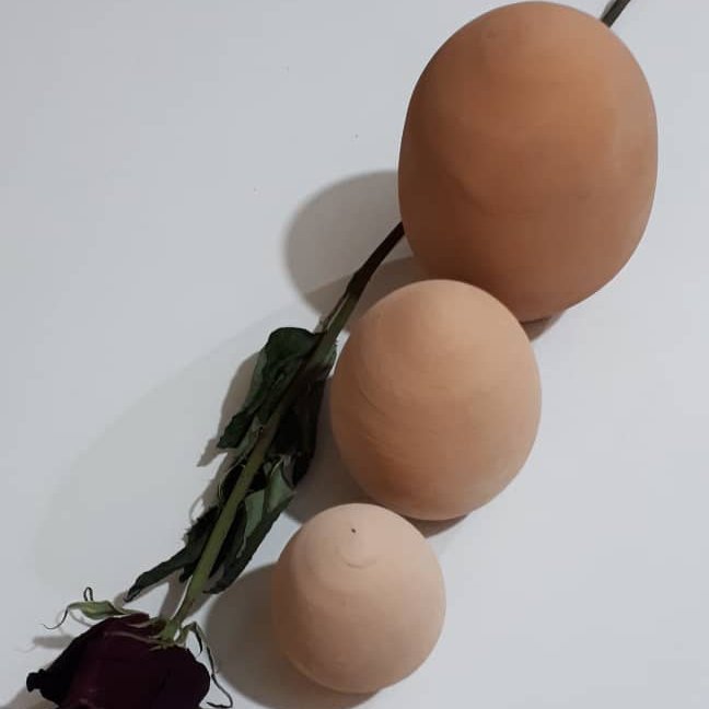 تخم مرغ و تخم غاز و تخم  شتر مرغ سفالی