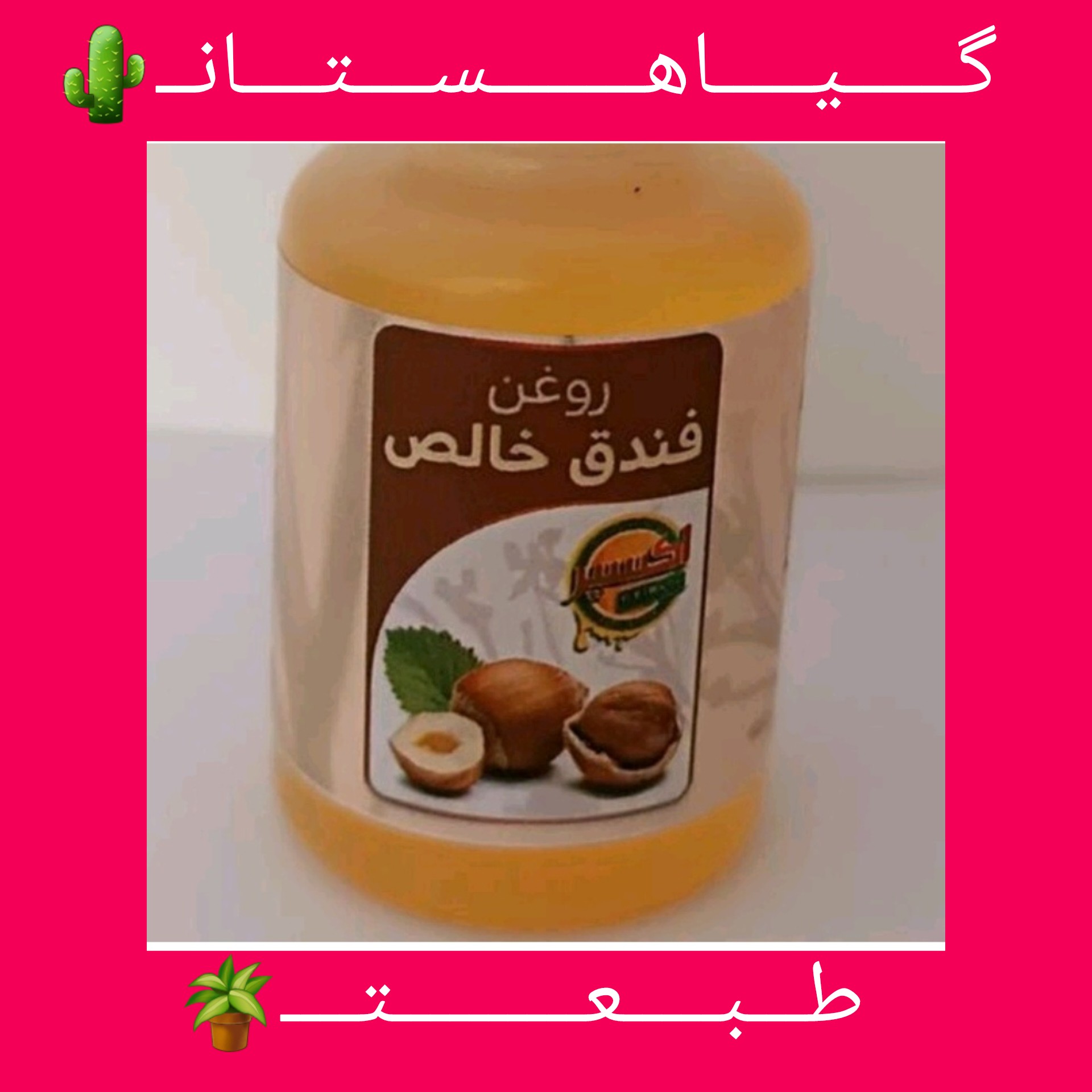 روغن فندق. خالص تضمینی 20cc