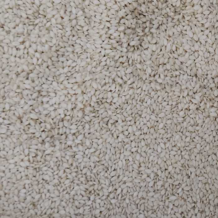 ده کیلو کنجد سفید درجه یک بدون پوست تمیز  یکدست  و تازه 