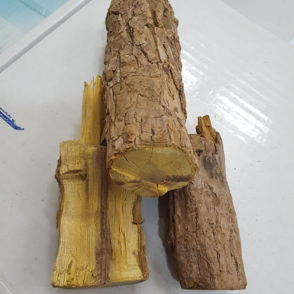 ریشه زرشک 100 گرم 