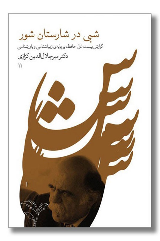 کتاب شبی در شارستان شور