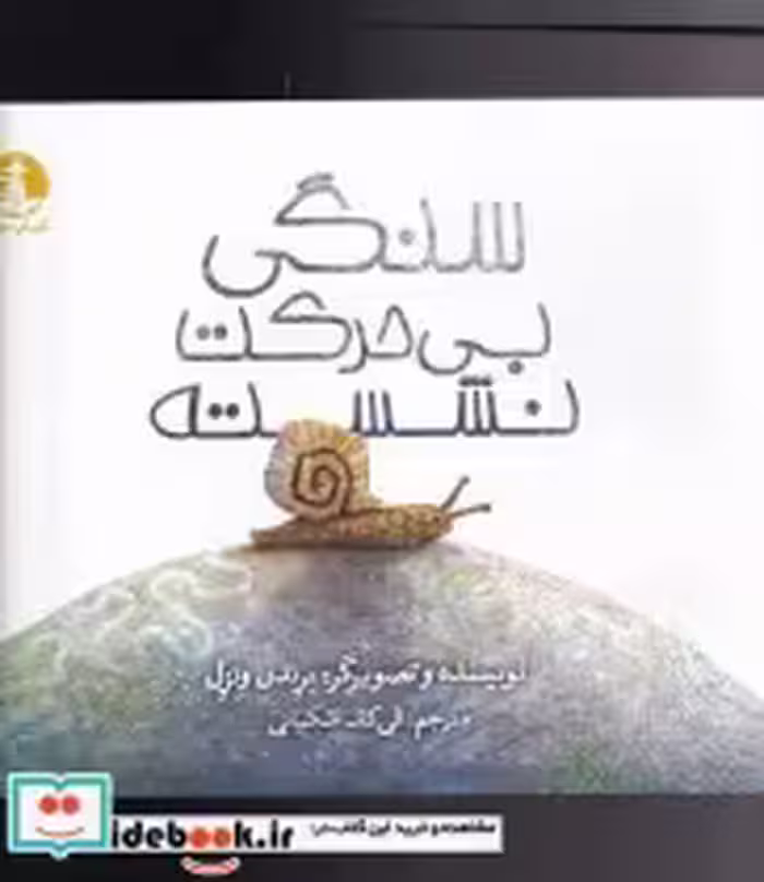 قیمت و خرید کتاب سنگی بی حرکت نشسته اثر برندن ونزل | ایده بوک