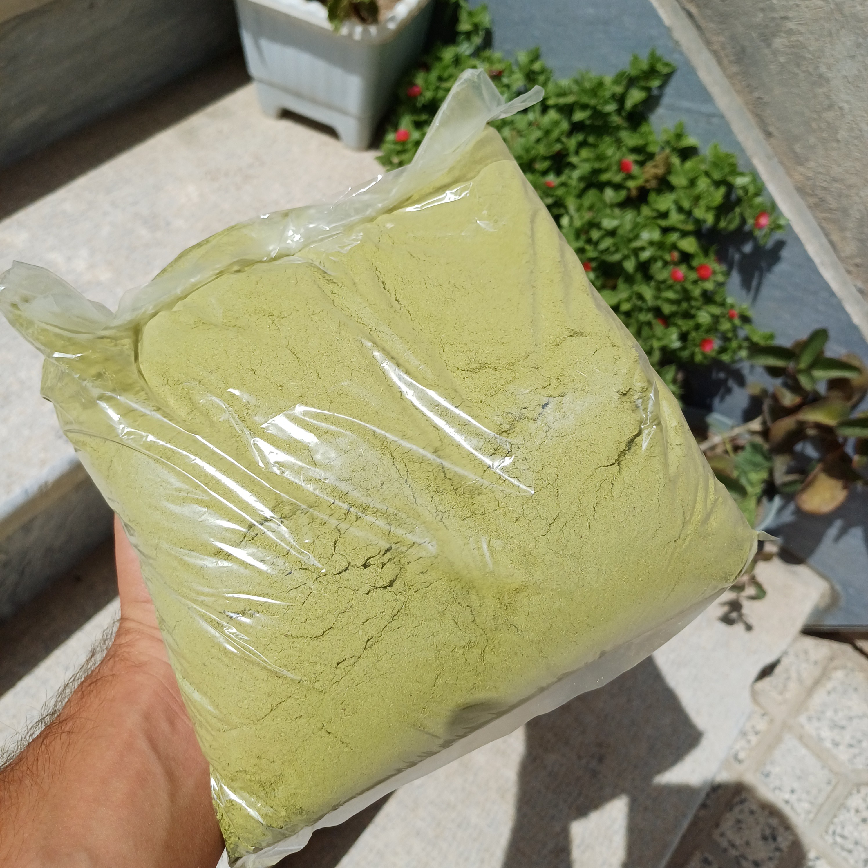 آویشن کوهی طبیعی پودر شده 