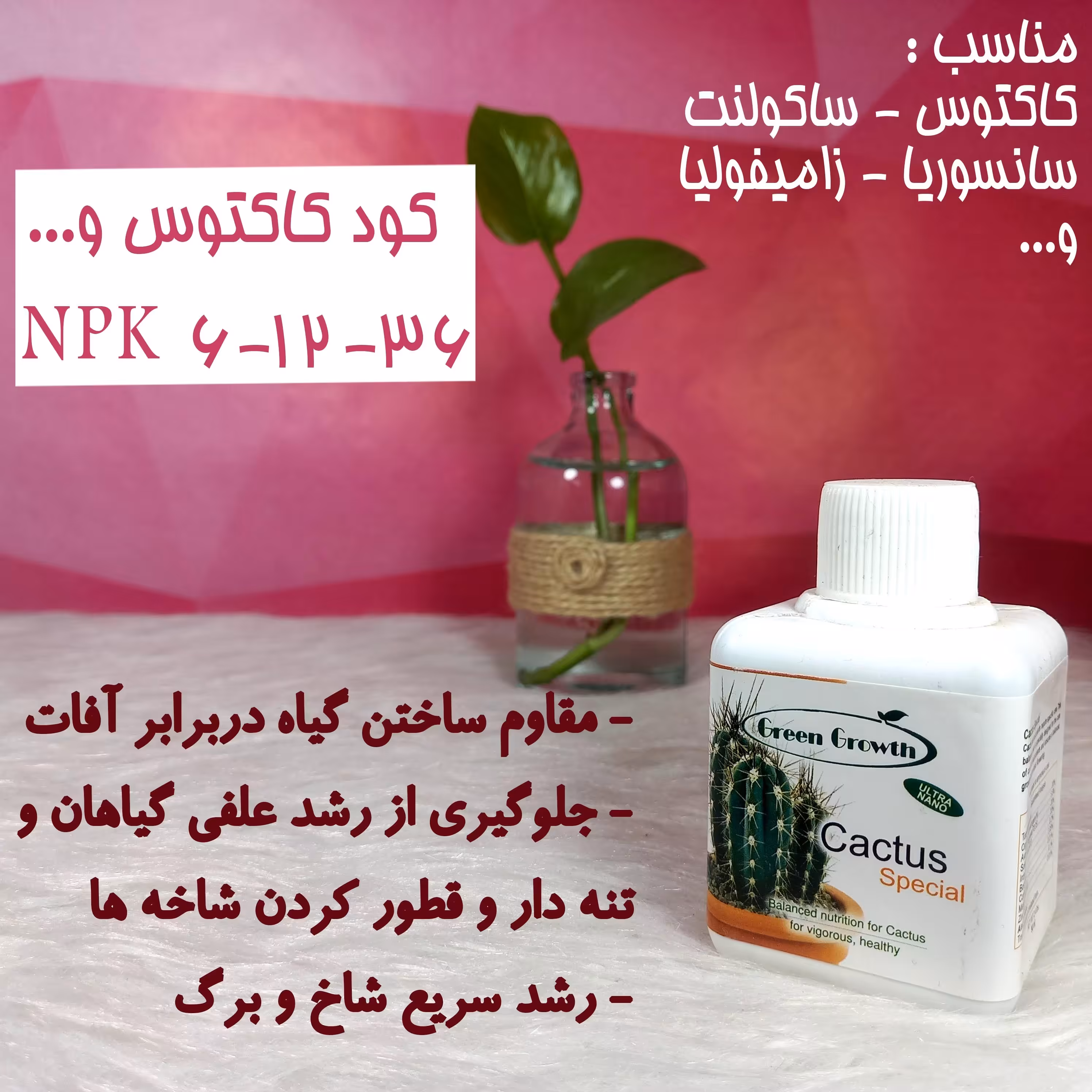 کود کاکتوس پتاس بالا 36-12-6 ایتالیایی گرین گروت-کود کاکتوس-کودGreen Growth-گلدونه